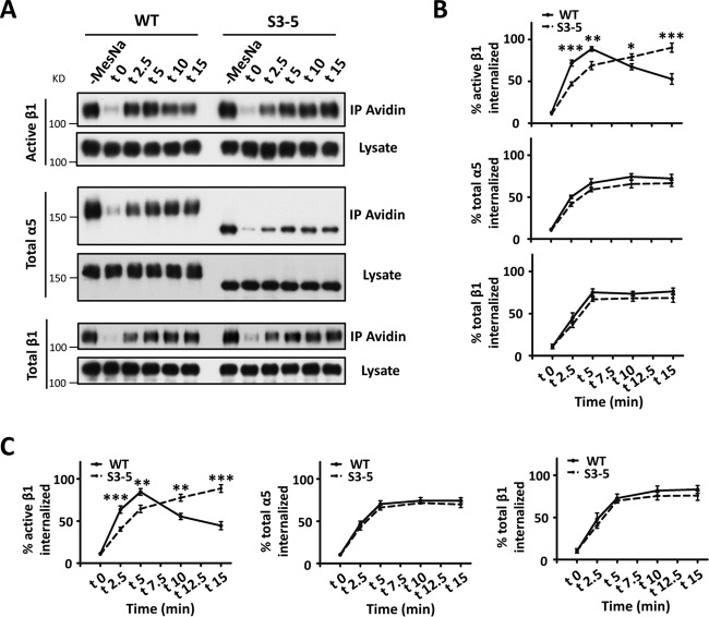 FIG 4