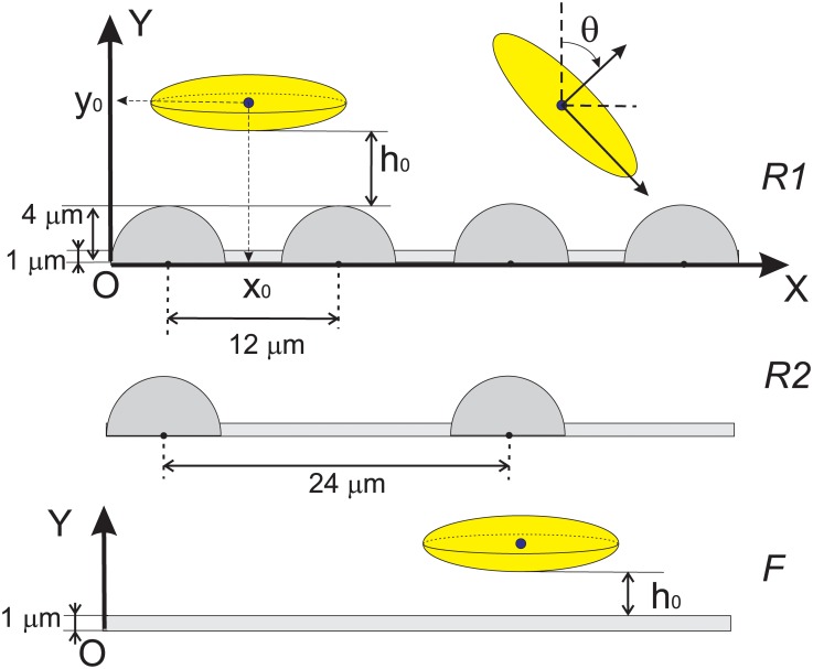 Fig 2