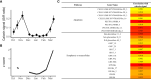 Figure 7