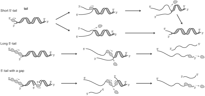 Figure 7.