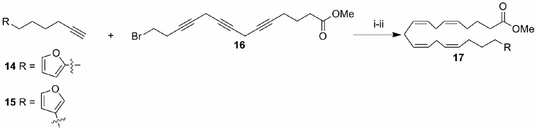 Scheme 3