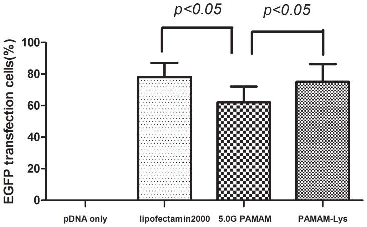 Figure 5.Transfection