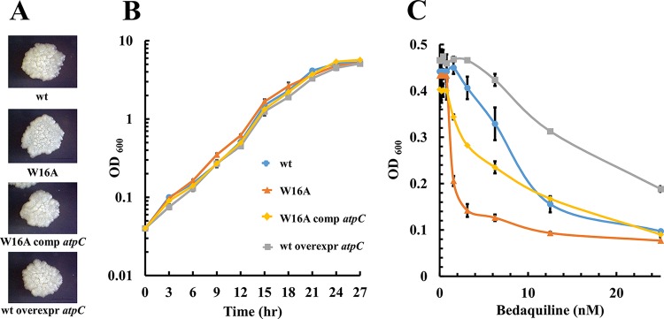 FIG 1