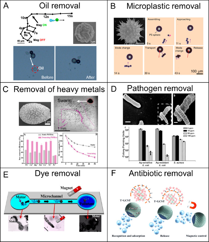 Figure 20