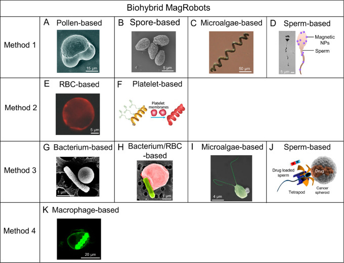 Figure 13