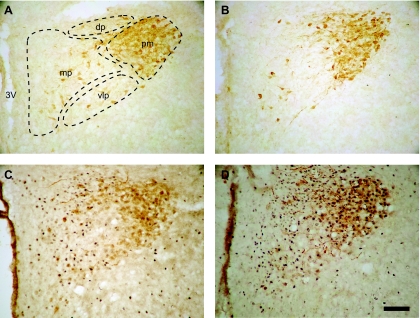 Fig. 3.