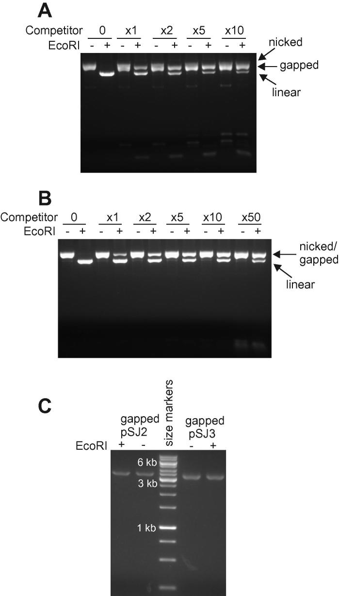 Fig.2