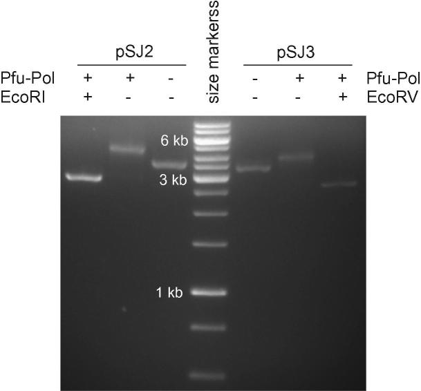 Fig.3