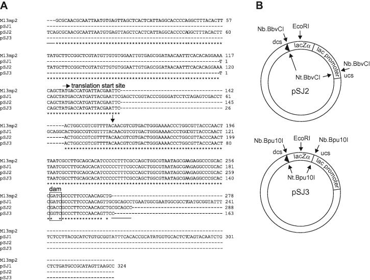 Fig.1