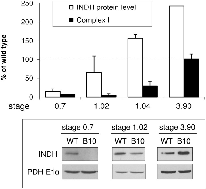 Figure 6.