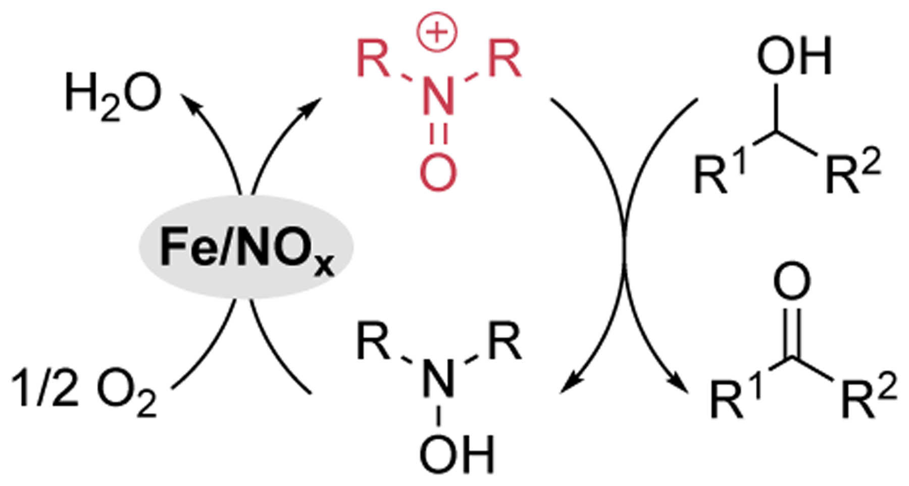 Scheme 3.