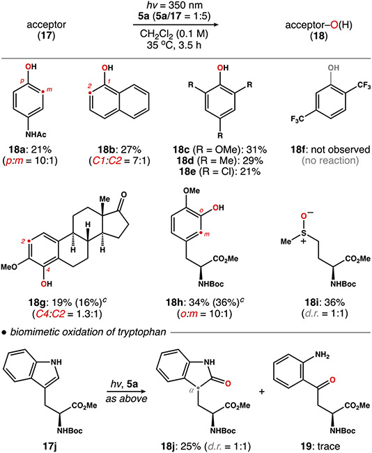 Scheme 3.