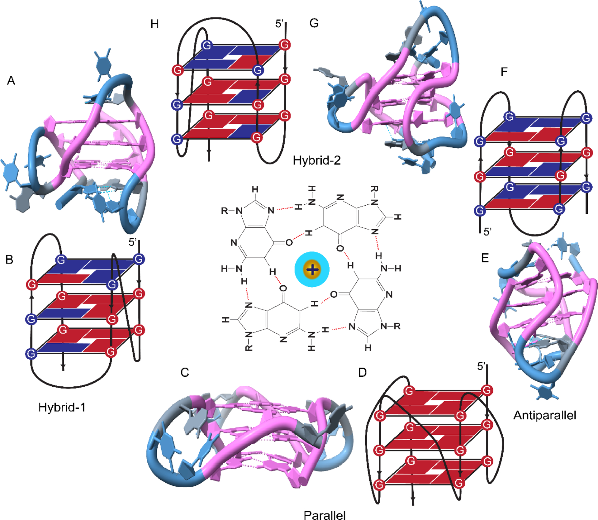 Figure 2.