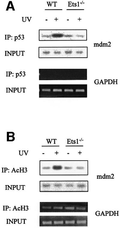 graphic file with name cdf413f9.jpg