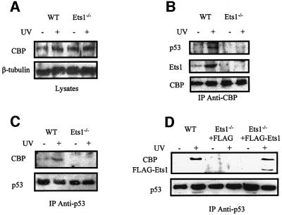 graphic file with name cdf413f8.jpg