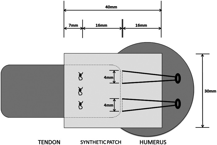 Figure 4.