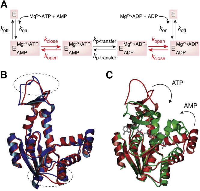 Figure 2