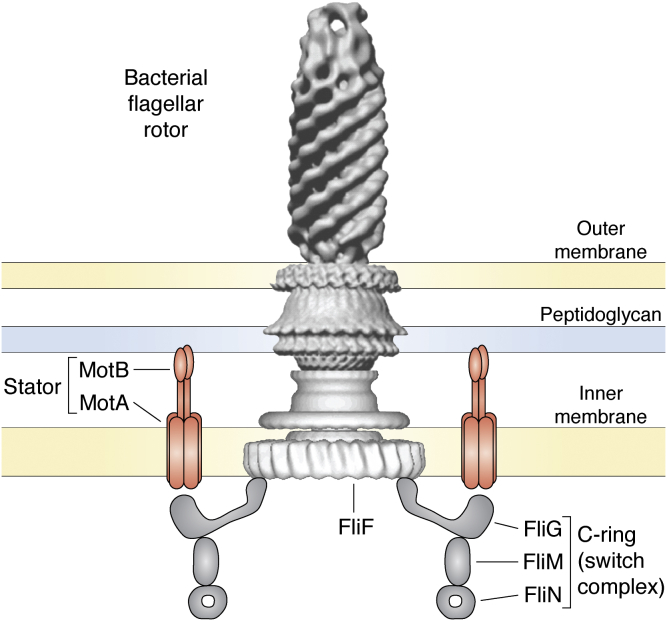 Figure 5