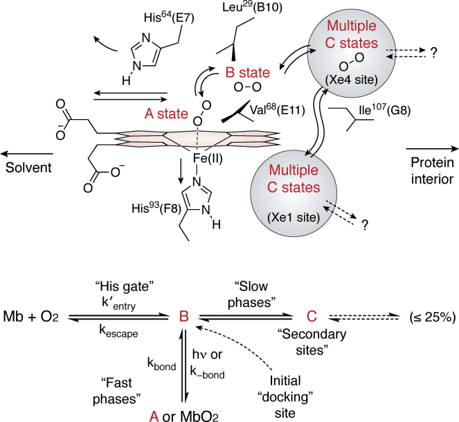 Figure 1