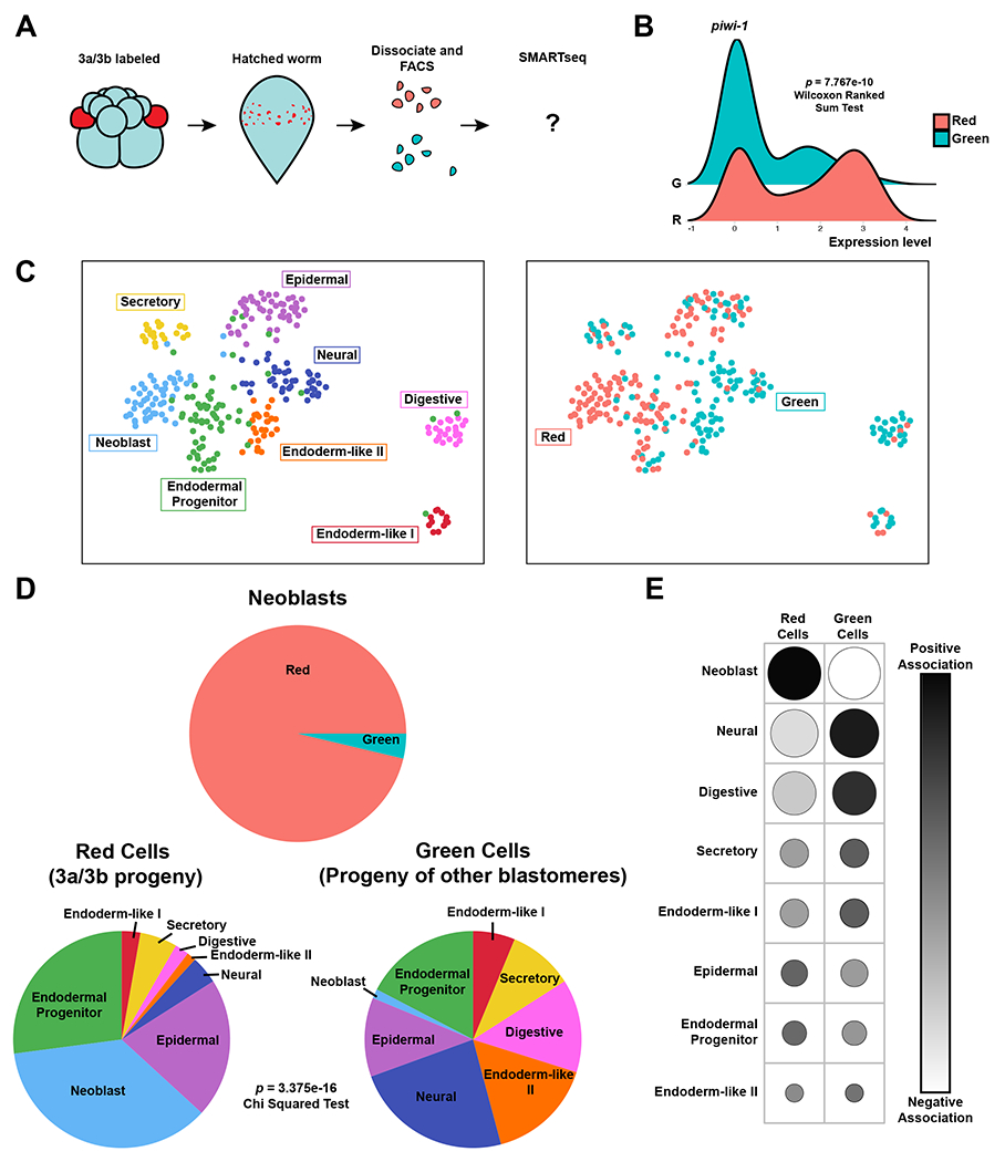 Figure 4: