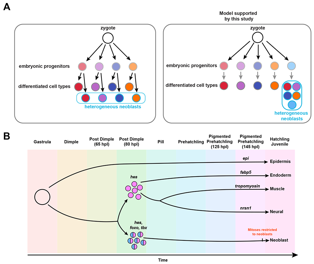 Figure 6: