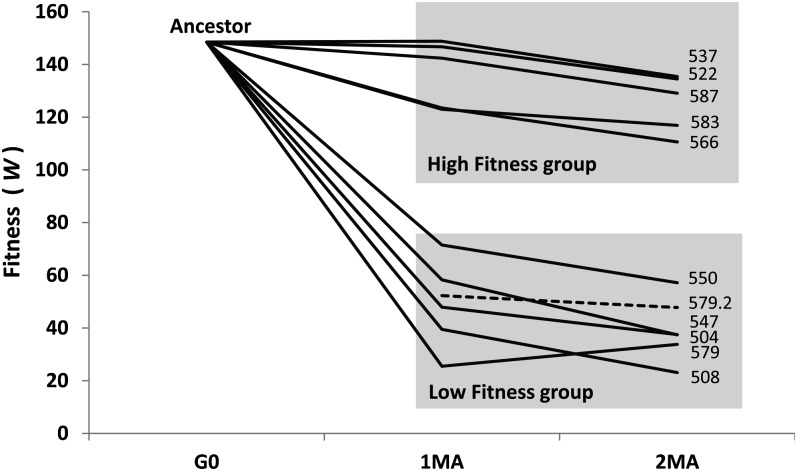 Figure 2 