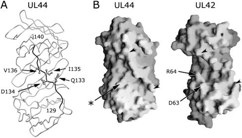 FIG. 10.