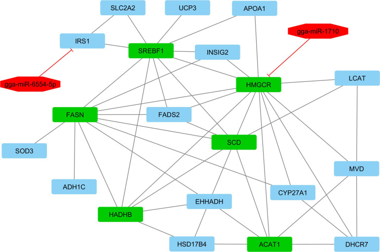 FIGURE 4