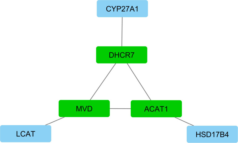 FIGURE 6