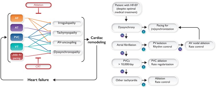 Graphical Abstract