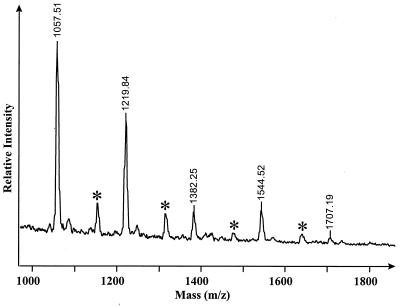 FIG. 5