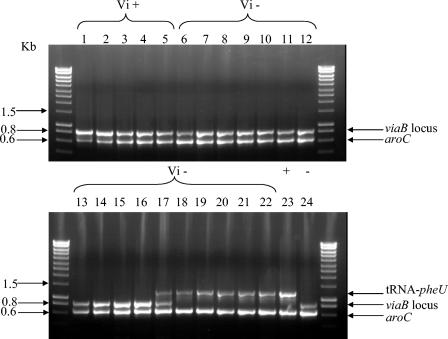 FIG. 2.