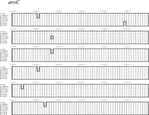 FIG. 3.