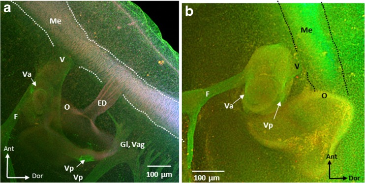 Fig. 10