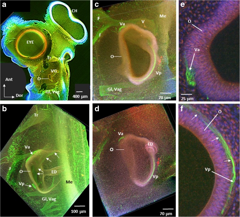 Fig. 9