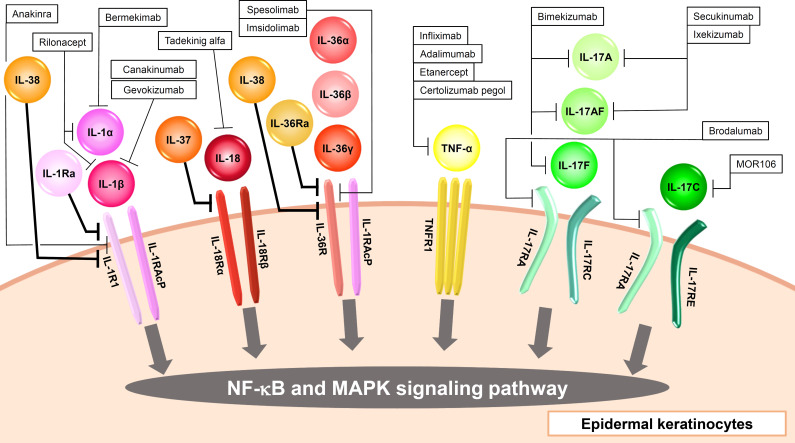 Figure 1