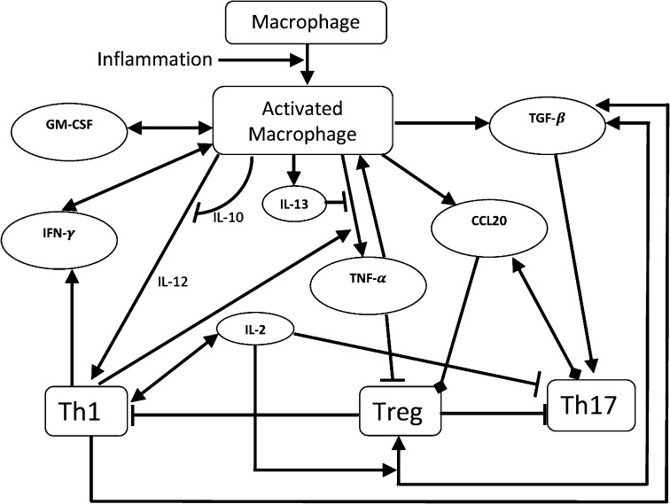 Fig. 1.