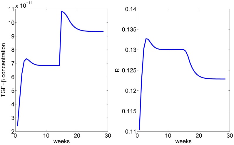 Fig. 7.