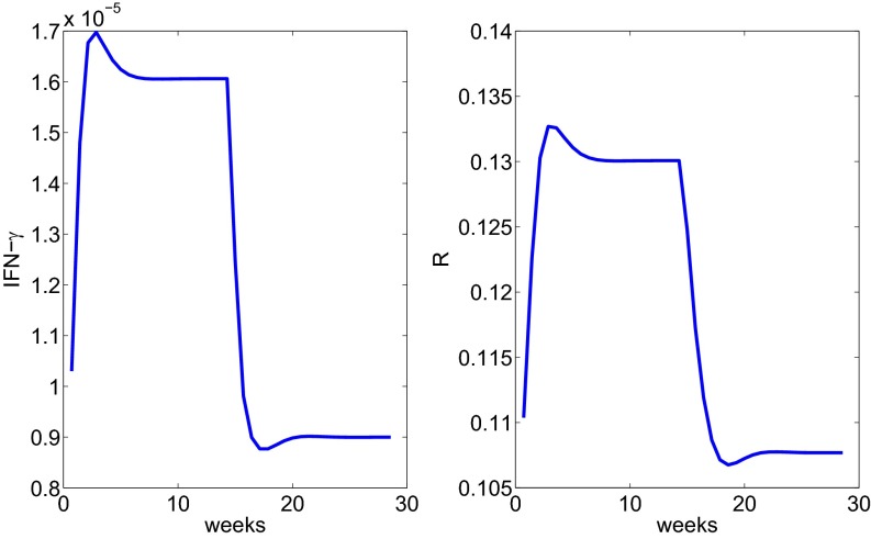 Fig. 6.