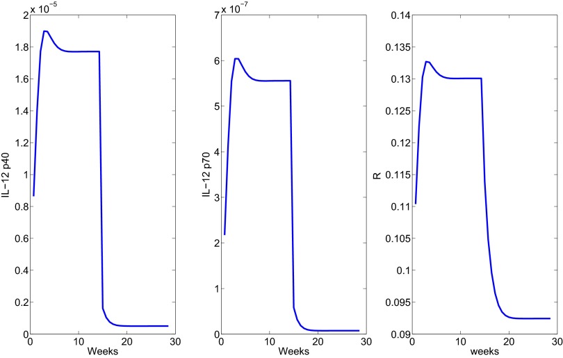 Fig. 5.