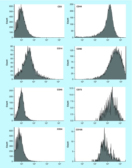 Figure 1. 