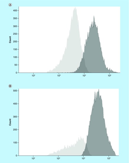 Figure 2. 