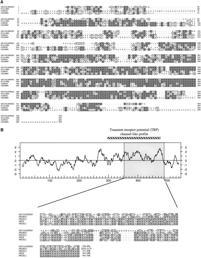 Figure  4