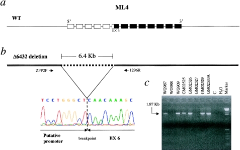 Figure  2