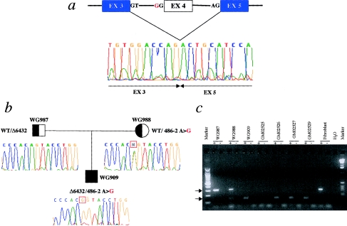 Figure  3