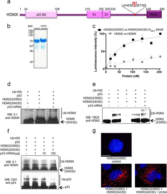 FIG 3