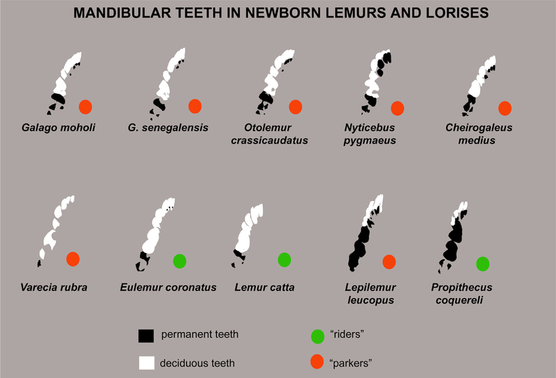 FIGURE 23