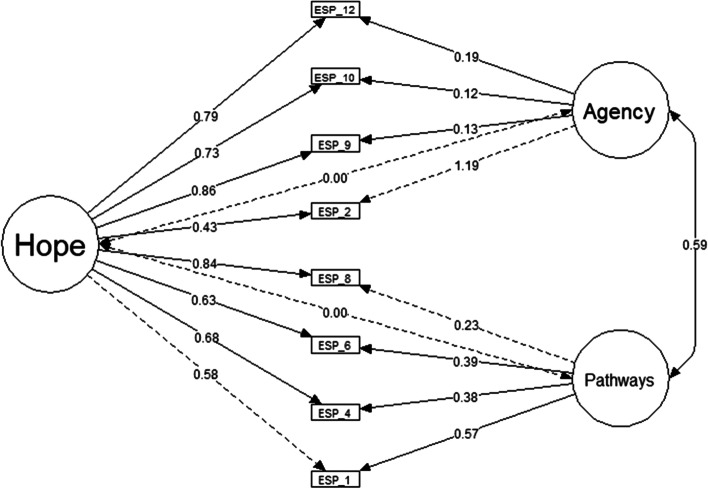 Adaptation and validation of the Adult Dispositional Hope Scale in the ...