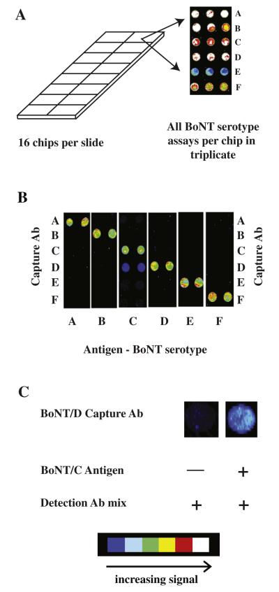 Fig.3