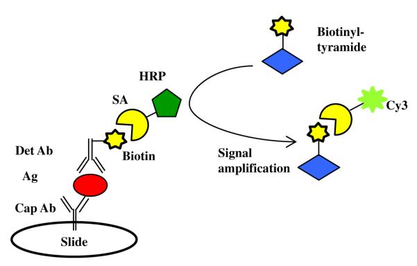 Fig.1